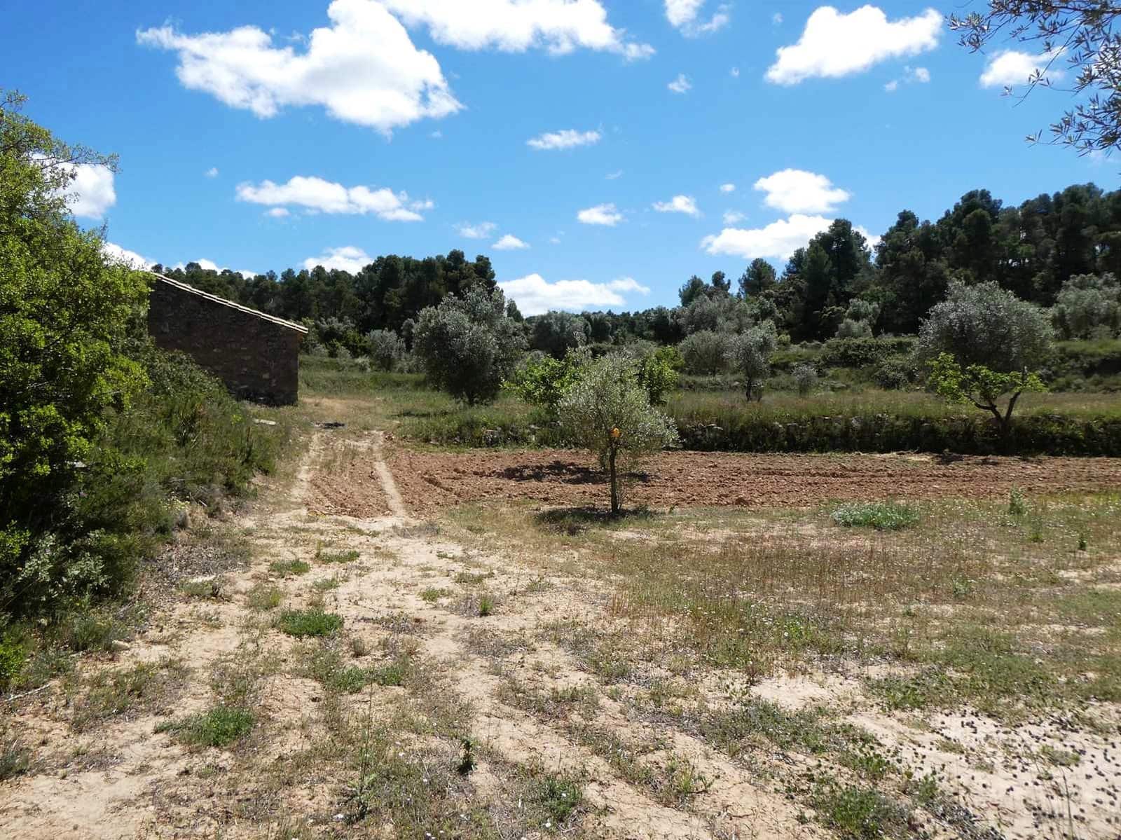Finka/Dom wiejski na sprzedaż w Calaceite - 34 000 € (Ref: 9826100)