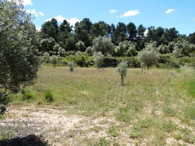 Finka/Dom wiejski na sprzedaż w Calaceite - 34 000 € (Ref: 9826100)