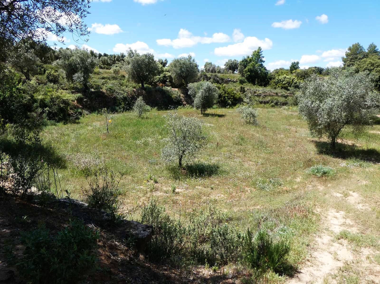 Finka/Dom wiejski na sprzedaż w Calaceite - 34 000 € (Ref: 9826100)
