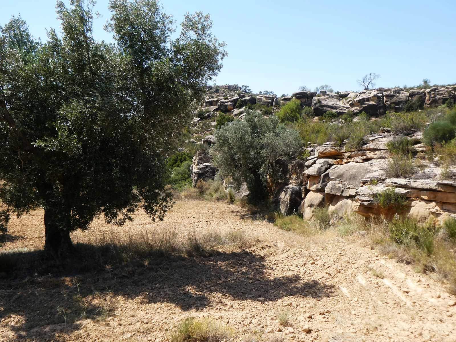 Finca/Country House for sale in Maella - € 37,000 (Ref: 9918770)