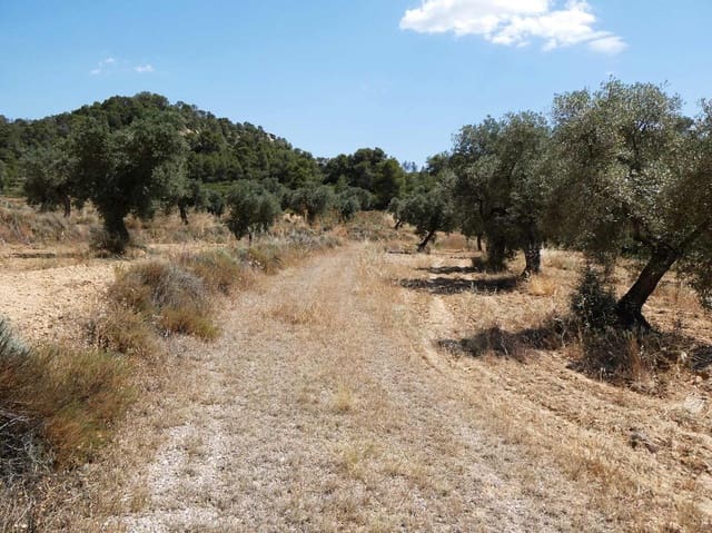 Finca/Landhuis te koop in Maella - € 37.000 (Ref: 9918770)