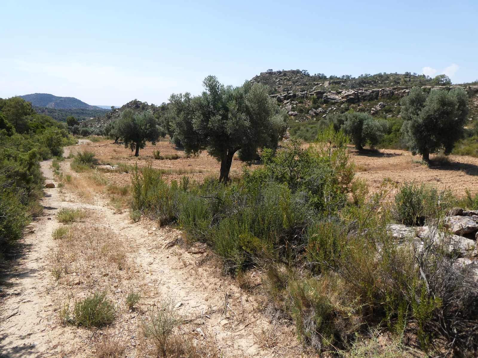 Finca/Country House for sale in Maella - € 37,000 (Ref: 9918770)