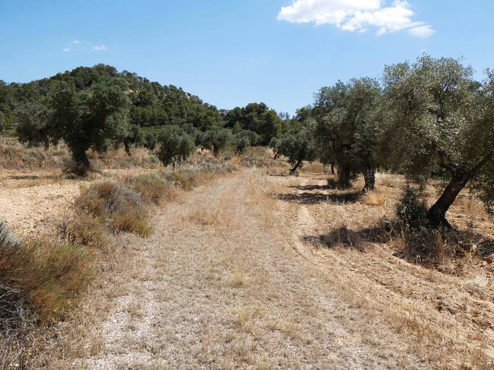 Finca/Country House for sale in Maella - € 37,000 (Ref: 9918770)