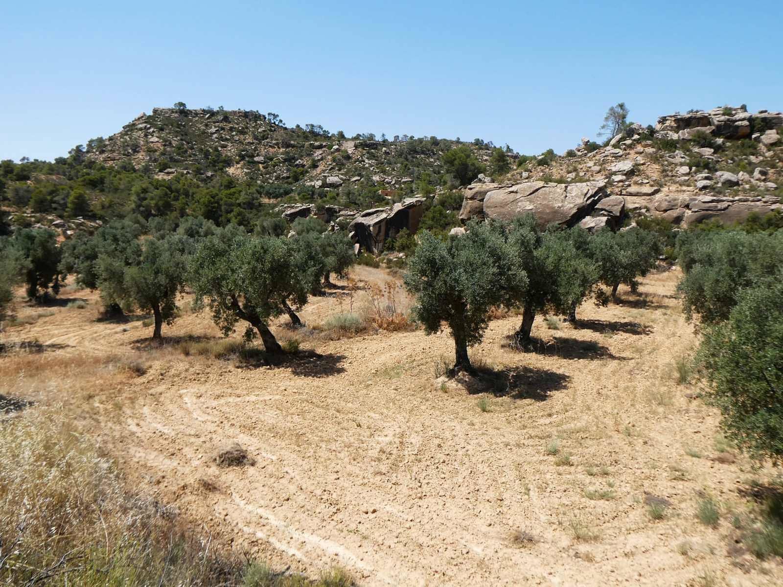 Finca/Country House for sale in Maella - € 37,000 (Ref: 9918770)