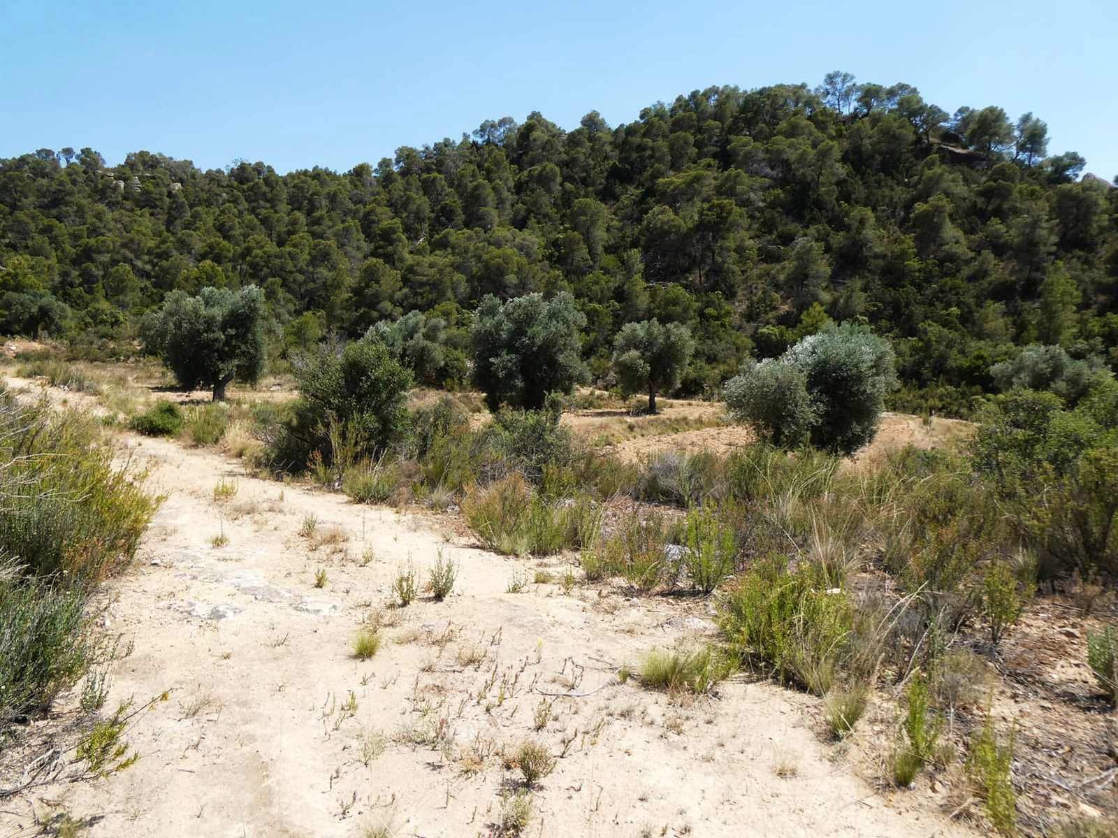 Finca/Country House for sale in Maella - € 37,000 (Ref: 9918770)
