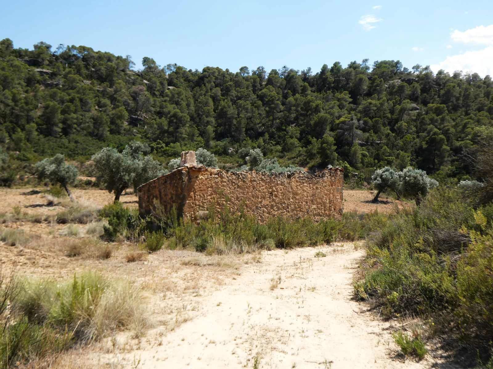 Finca/Country House for sale in Maella - € 37,000 (Ref: 9918770)