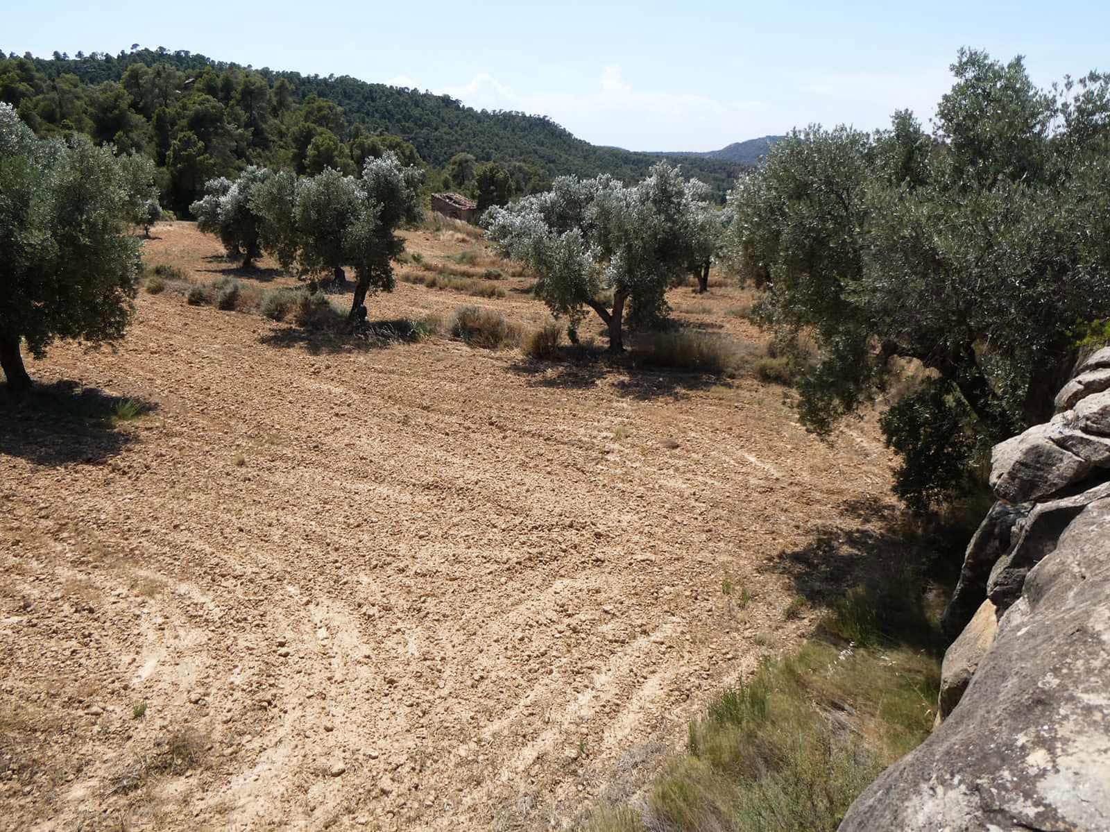 Finca/Country House for sale in Maella - € 37,000 (Ref: 9918770)