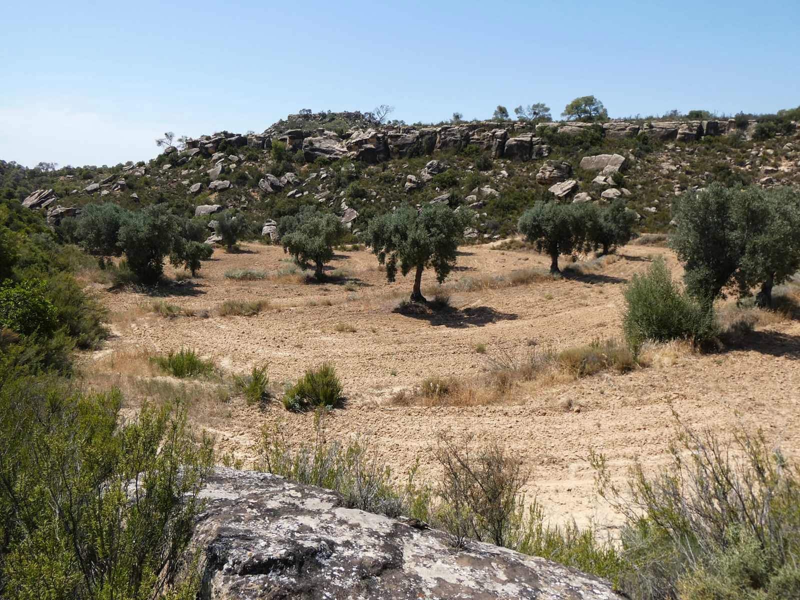 Finca/Country House for sale in Maella - € 37,000 (Ref: 9918770)