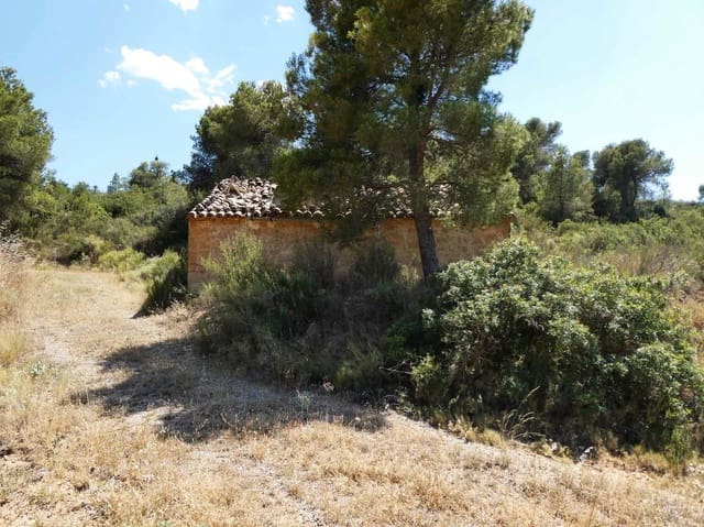 Finka/Dom wiejski na sprzedaż w Maella - 37 000 € (Ref: 9918770)