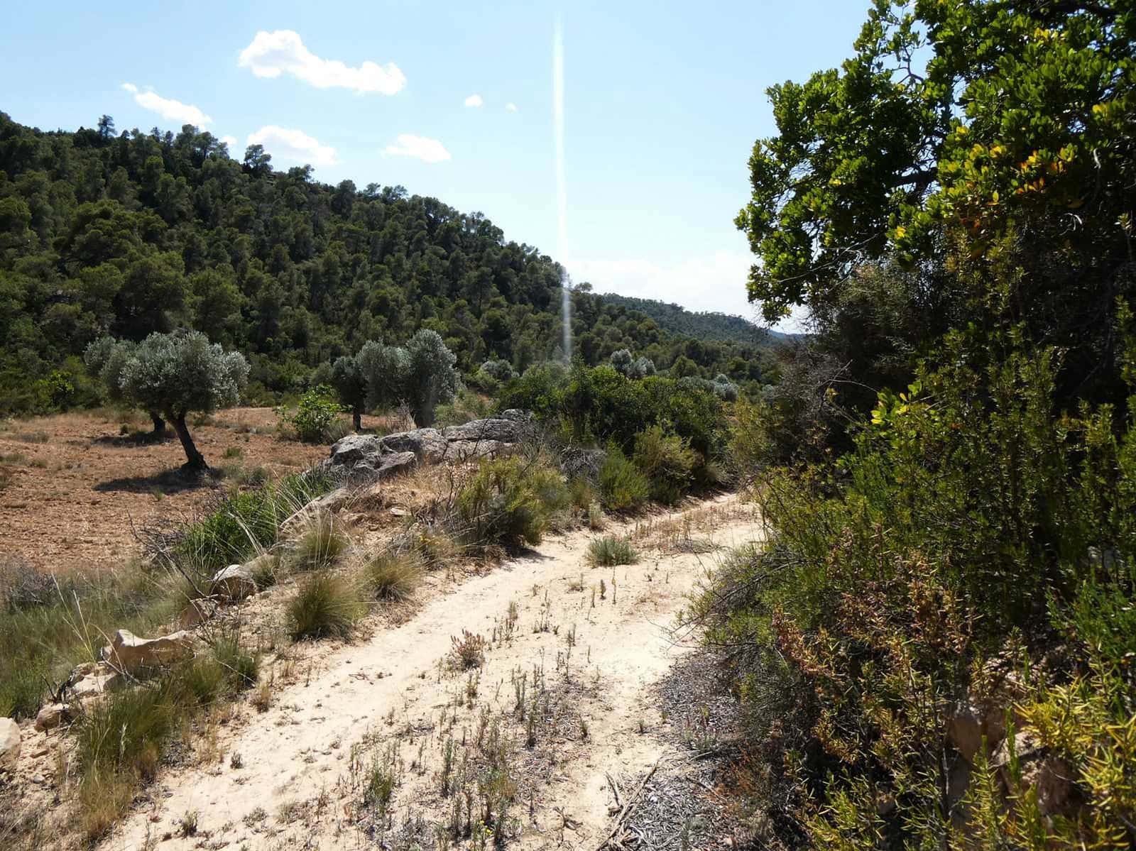 Finca/Country House for sale in Maella - € 37,000 (Ref: 9918770)