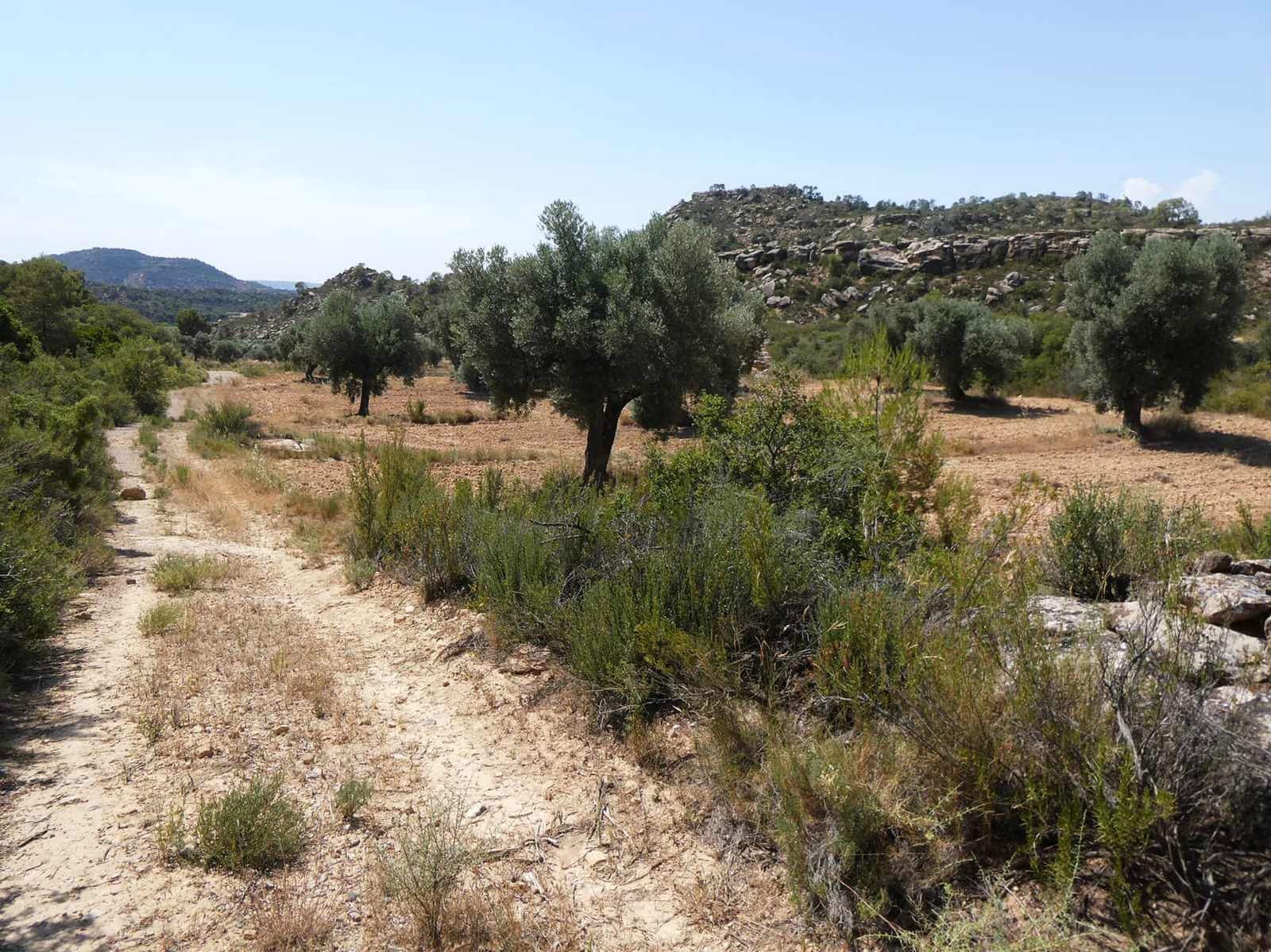 Finca/Country House for sale in Maella - € 37,000 (Ref: 9918770)