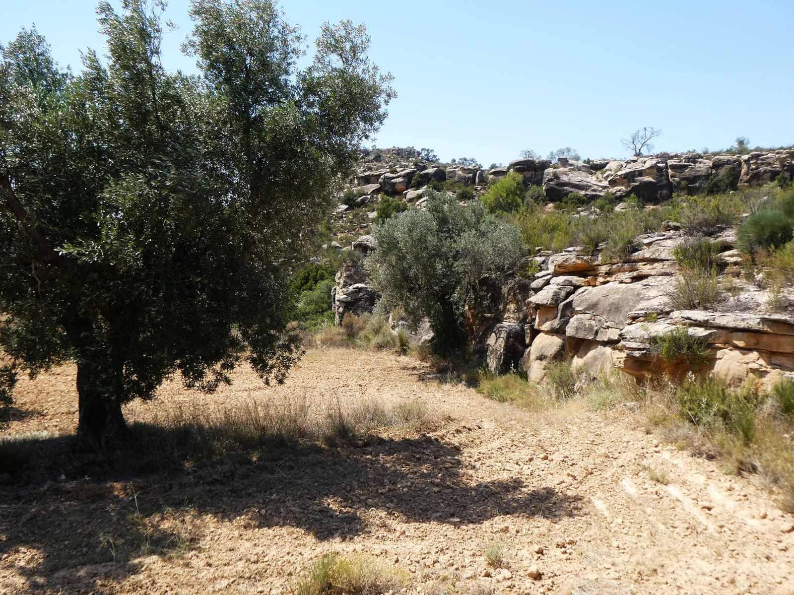 Finca/Country House for sale in Maella - € 37,000 (Ref: 9918770)