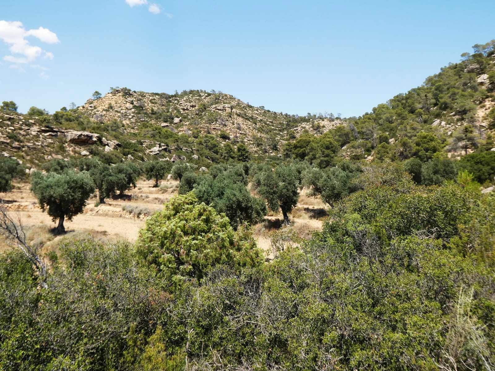 Finca/Country House for sale in Maella - € 37,000 (Ref: 9918770)