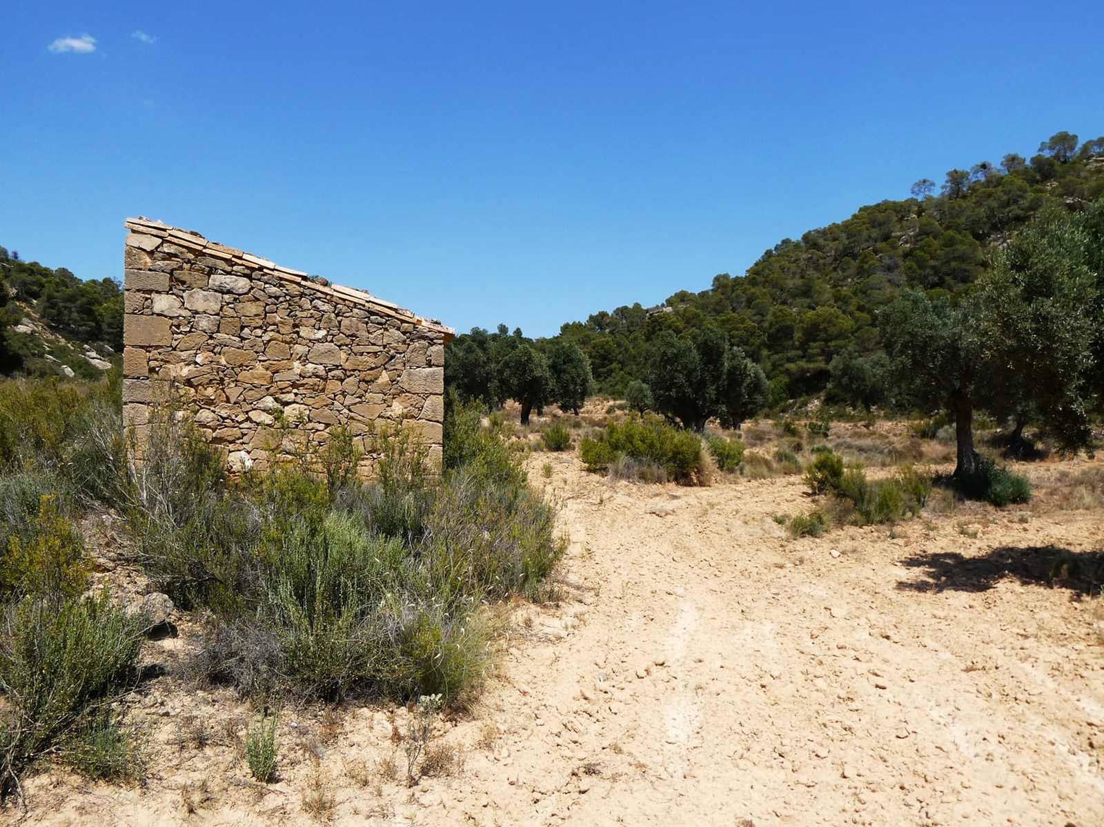 Finca/Country House for sale in Maella - € 37,000 (Ref: 9918770)