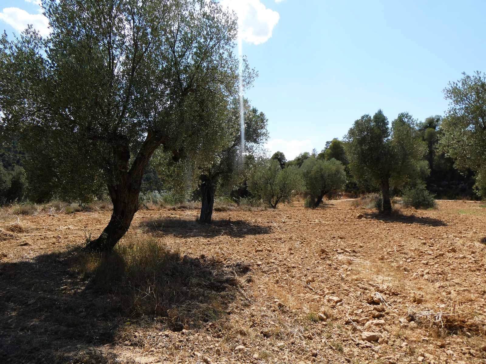 Finca/Country House for sale in Maella - € 37,000 (Ref: 9918770)