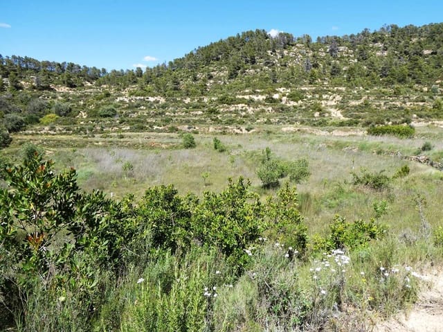 Finca/Casa di Campagna in vendita in Arens de Lledó - 29.000 € (Rif: 9918990)