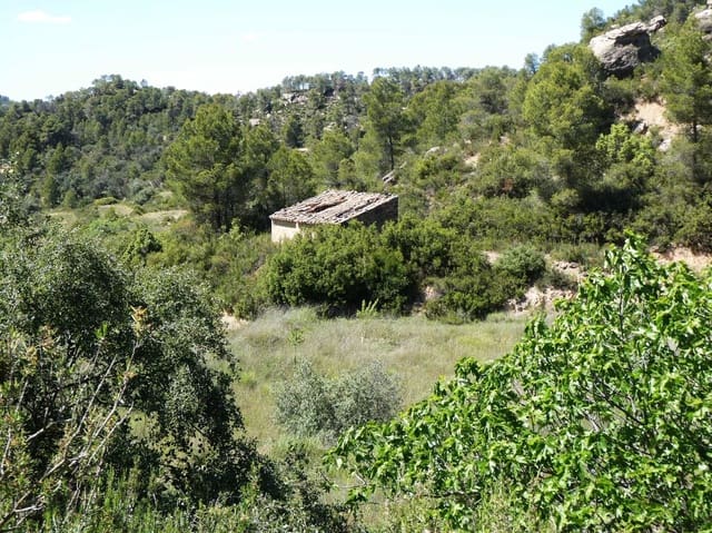 Quinta/Casa Rural para venda em Arens de Lledó - 29 000 € (Ref: 9918990)