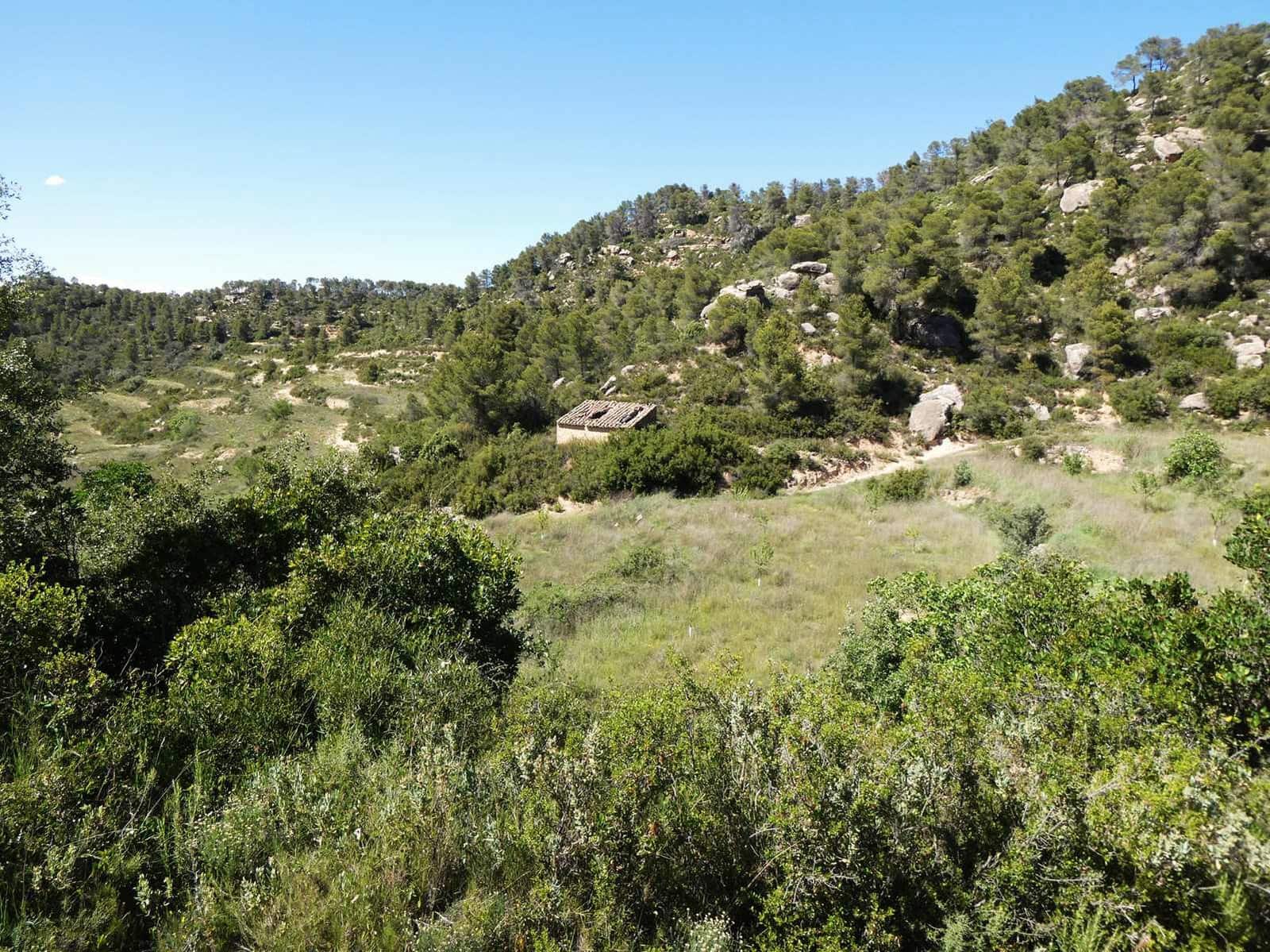 Finca/Hus på landet till salu i Arens de Lledo - 29 000 € (Ref: 9918990)