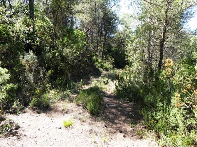 Quinta/Casa Rural para venda em Arens de Lledó - 29 000 € (Ref: 9918990)