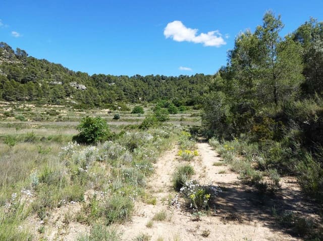 Quinta/Casa Rural para venda em Arens de Lledó - 29 000 € (Ref: 9918990)