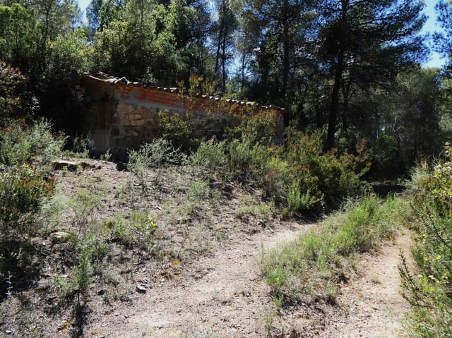 Quinta/Casa Rural para venda em Arens de Lledó - 29 000 € (Ref: 9918990)