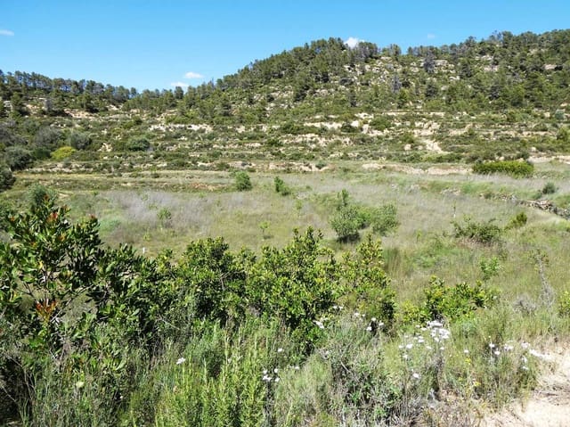 Quinta/Casa Rural para venda em Arens de Lledó - 29 000 € (Ref: 9918990)