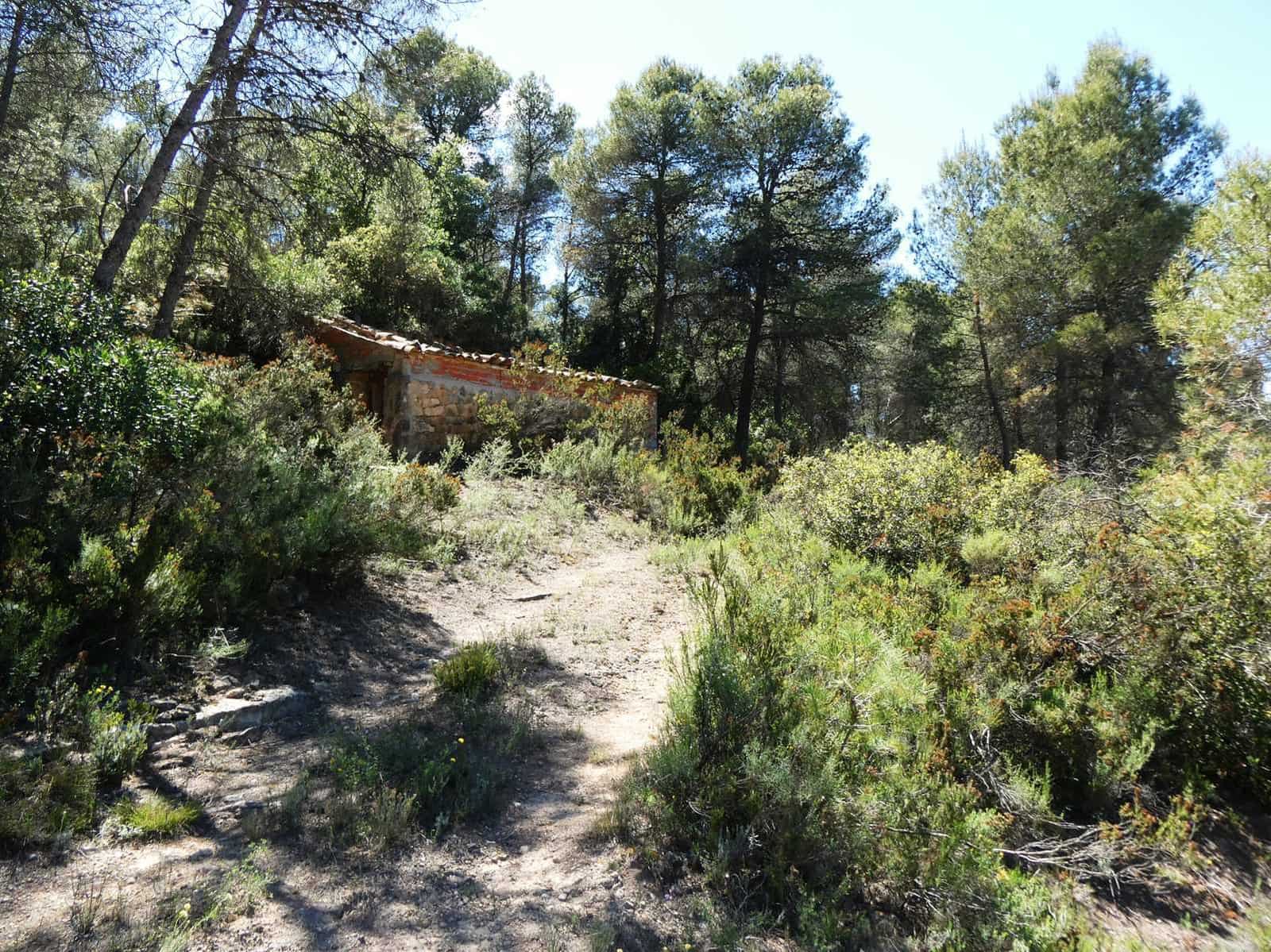 Finca/Hus på landet till salu i Arens de Lledo - 29 000 € (Ref: 9918990)