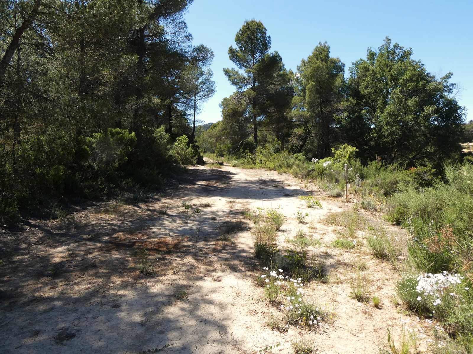 Finca/Hus på landet till salu i Arens de Lledo - 29 000 € (Ref: 9918990)