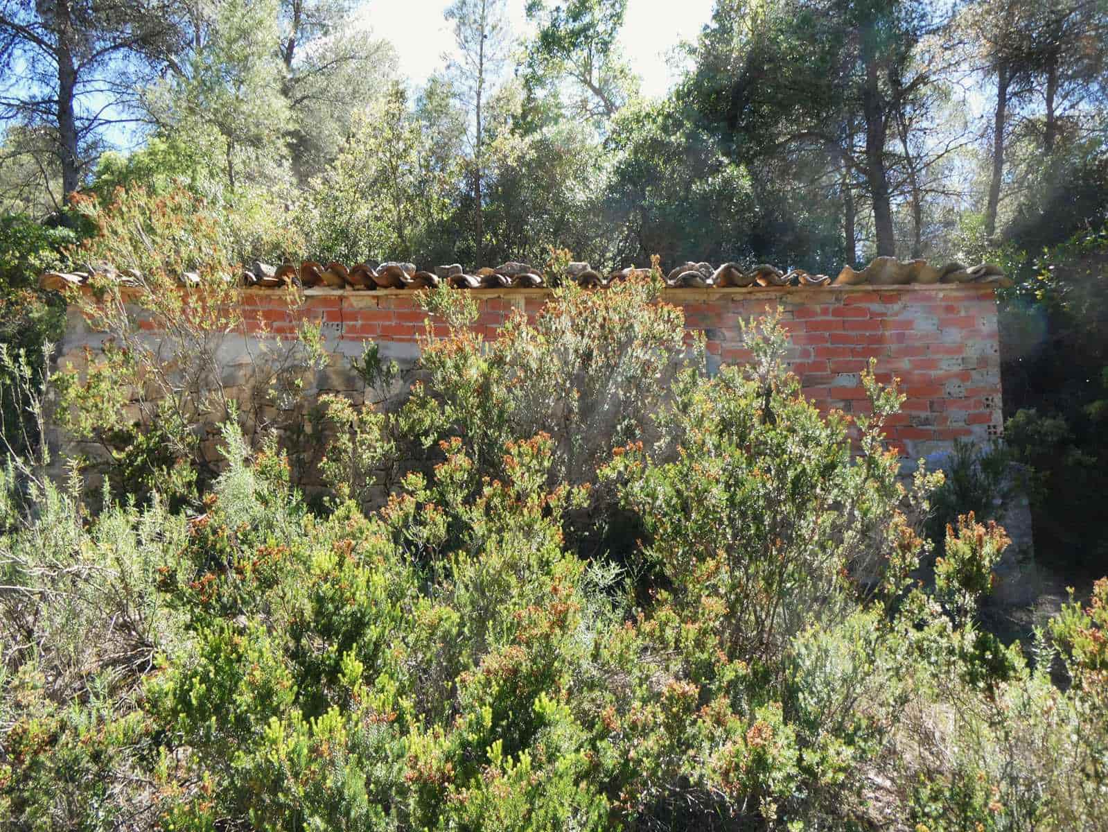 Finca/Hus på landet till salu i Arens de Lledo - 29 000 € (Ref: 9918990)