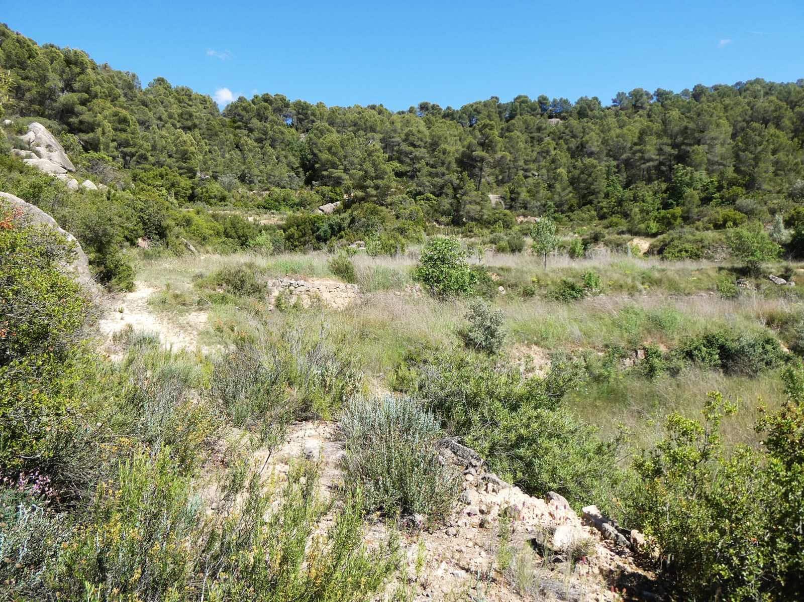 Finca/Hus på landet till salu i Arens de Lledo - 29 000 € (Ref: 9918990)