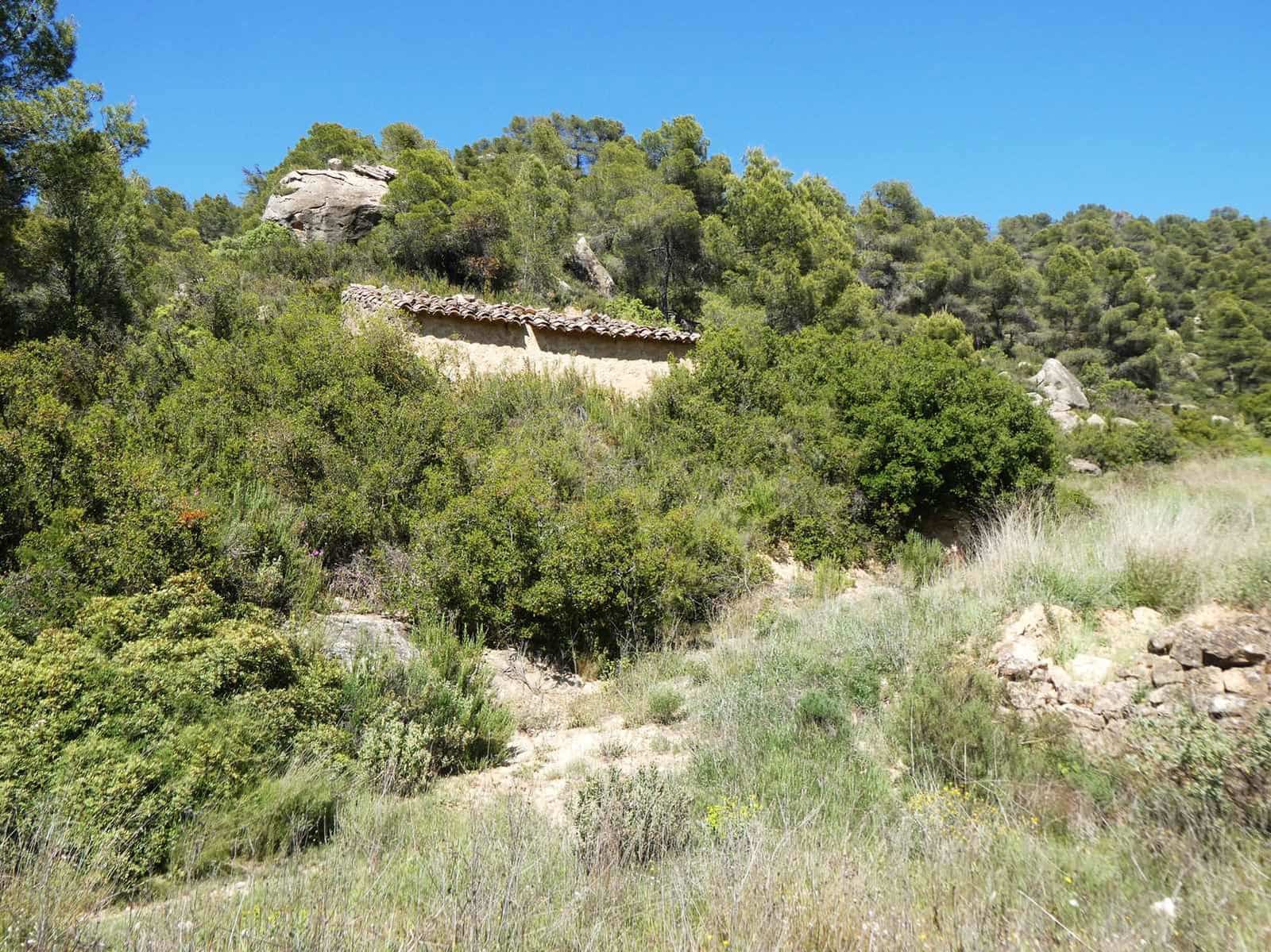 Finca/Hus på landet till salu i Arens de Lledo - 29 000 € (Ref: 9918990)