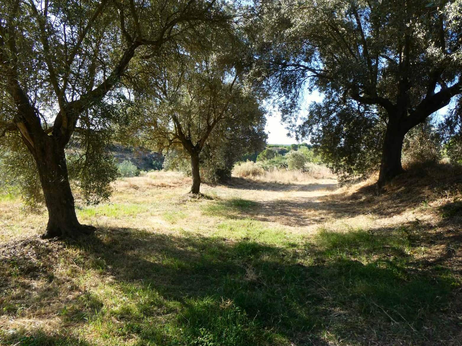 4 chambre Finca/Maison de Campagne à vendre à Caspe - 85 000 € (Ref: 9954597)
