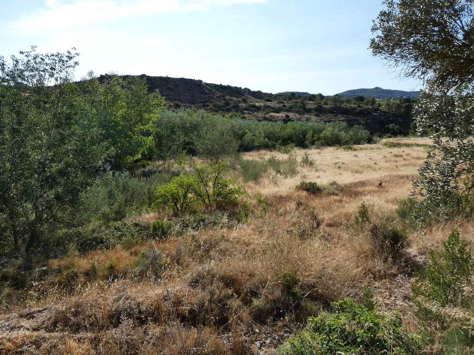 4 chambre Finca/Maison de Campagne à vendre à Caspe - 85 000 € (Ref: 9954597)