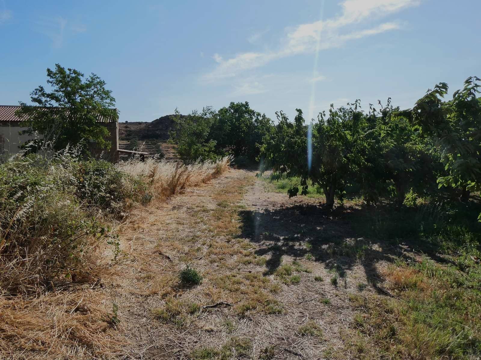 4 chambre Finca/Maison de Campagne à vendre à Caspe - 85 000 € (Ref: 9954597)