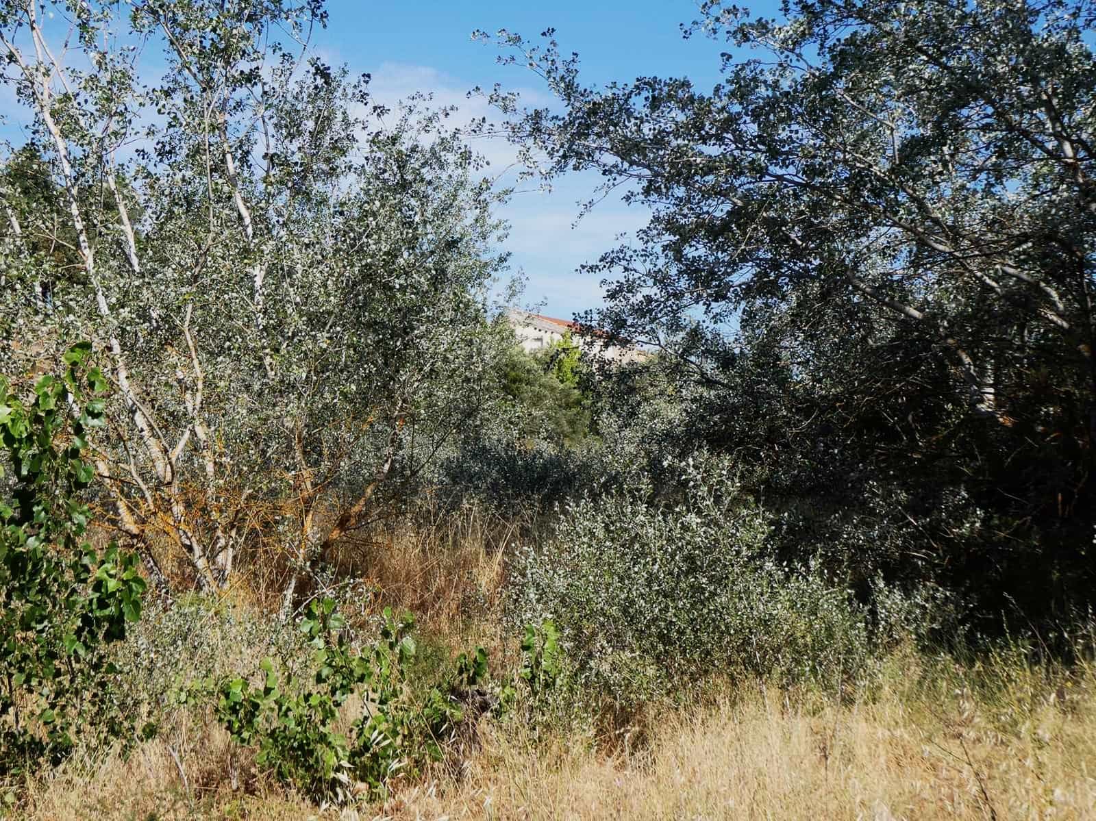 4 chambre Finca/Maison de Campagne à vendre à Caspe - 85 000 € (Ref: 9954597)