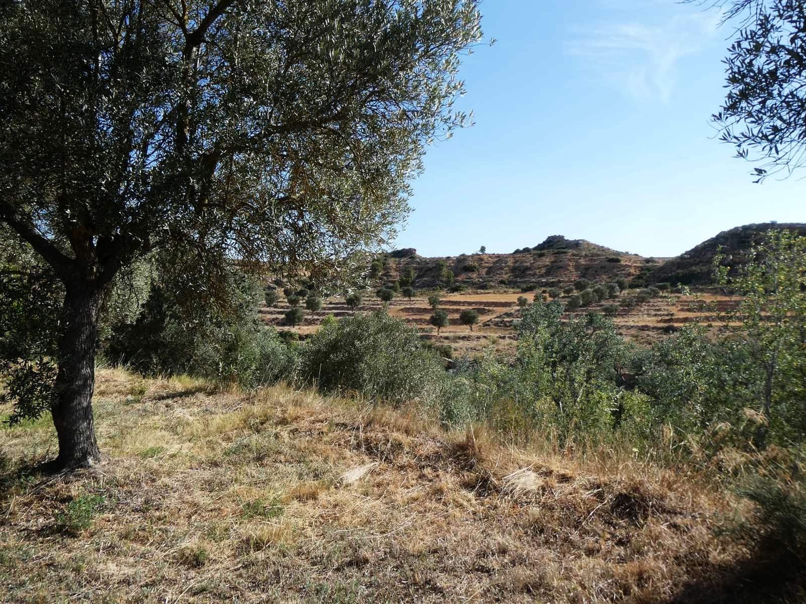 4 chambre Finca/Maison de Campagne à vendre à Caspe - 85 000 € (Ref: 9954597)