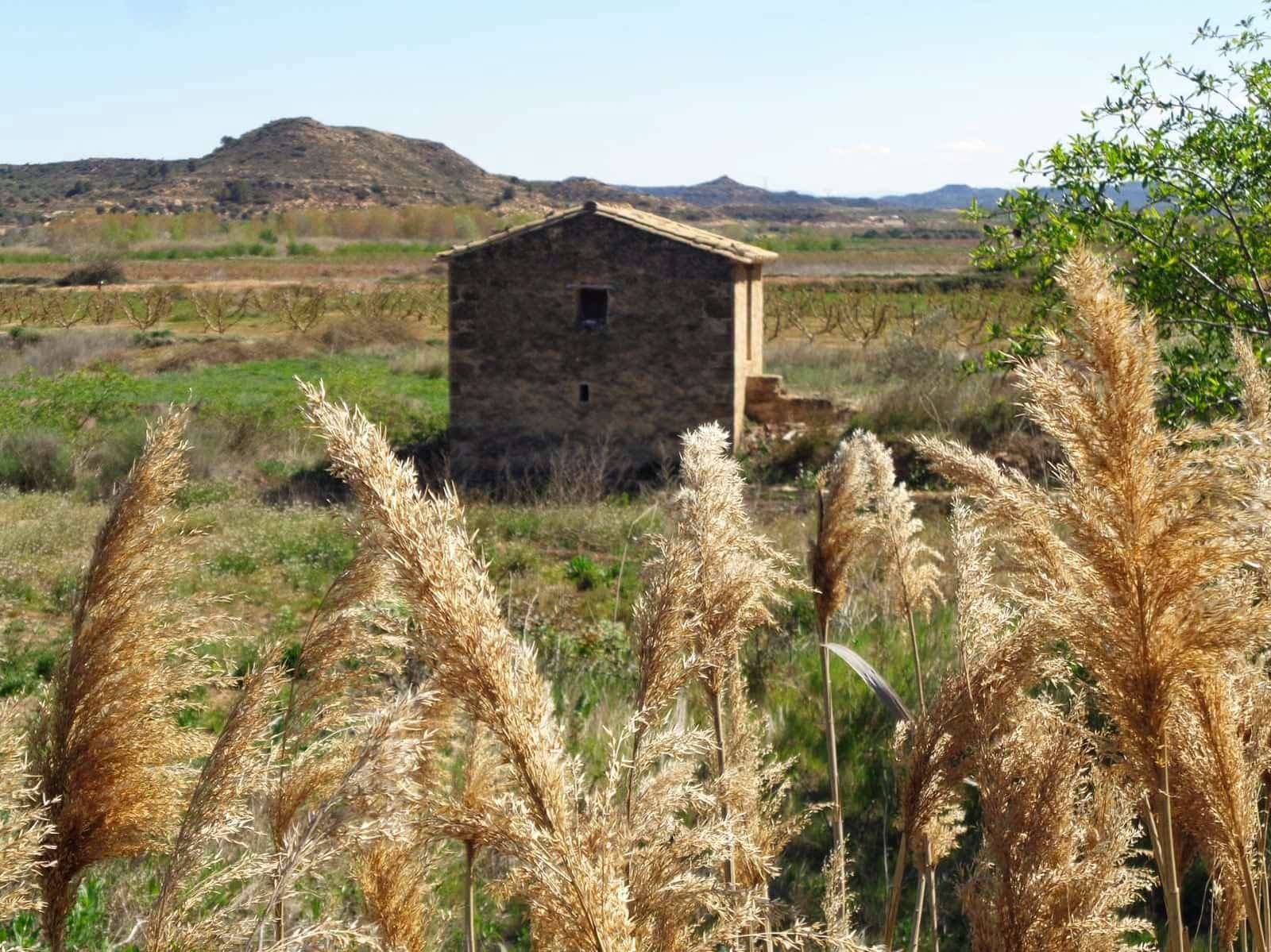 Finca/Landehus til salg i Maella - € 15.000 (Ref: 9995237)