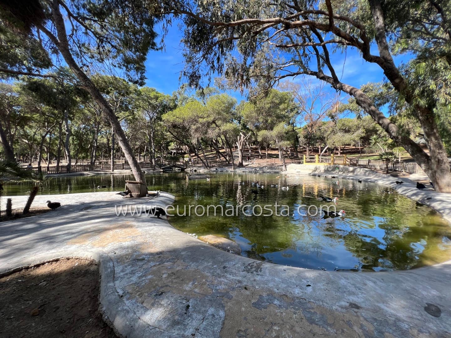 1 chambre Appartement à vendre à Guardamar del Segura avec garage - 169 000 € (Ref: 10077287)