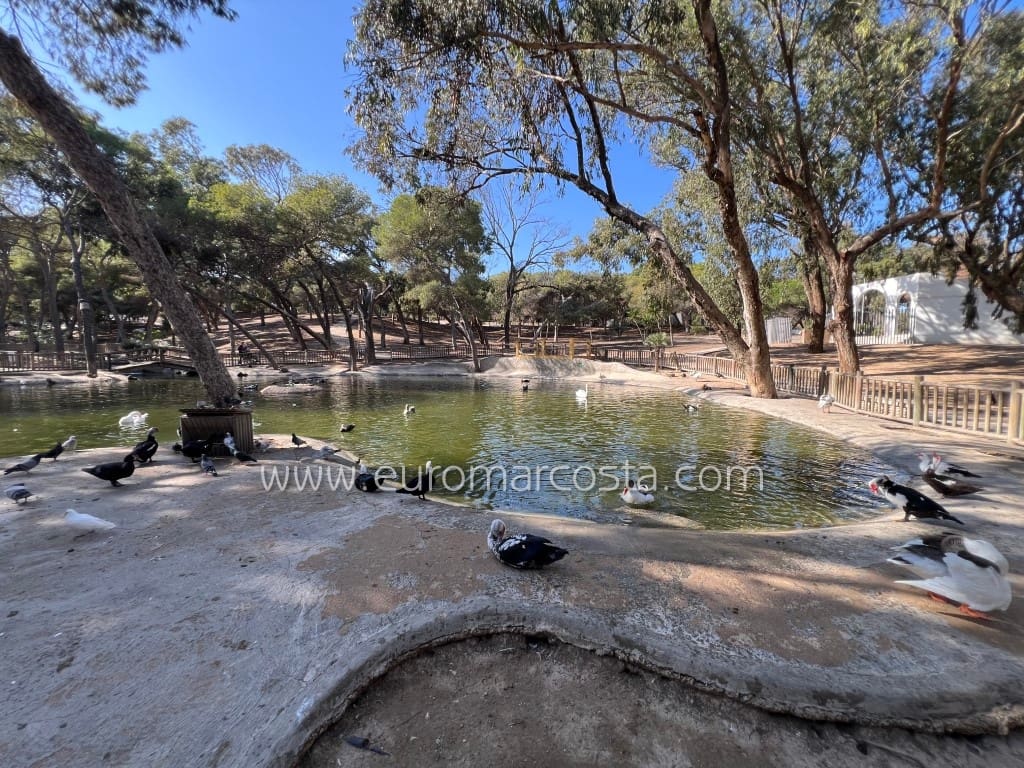 3 Zimmer Apartment zu verkaufen in Guardamar del Segura - 229.000 € (Ref: 10130599)