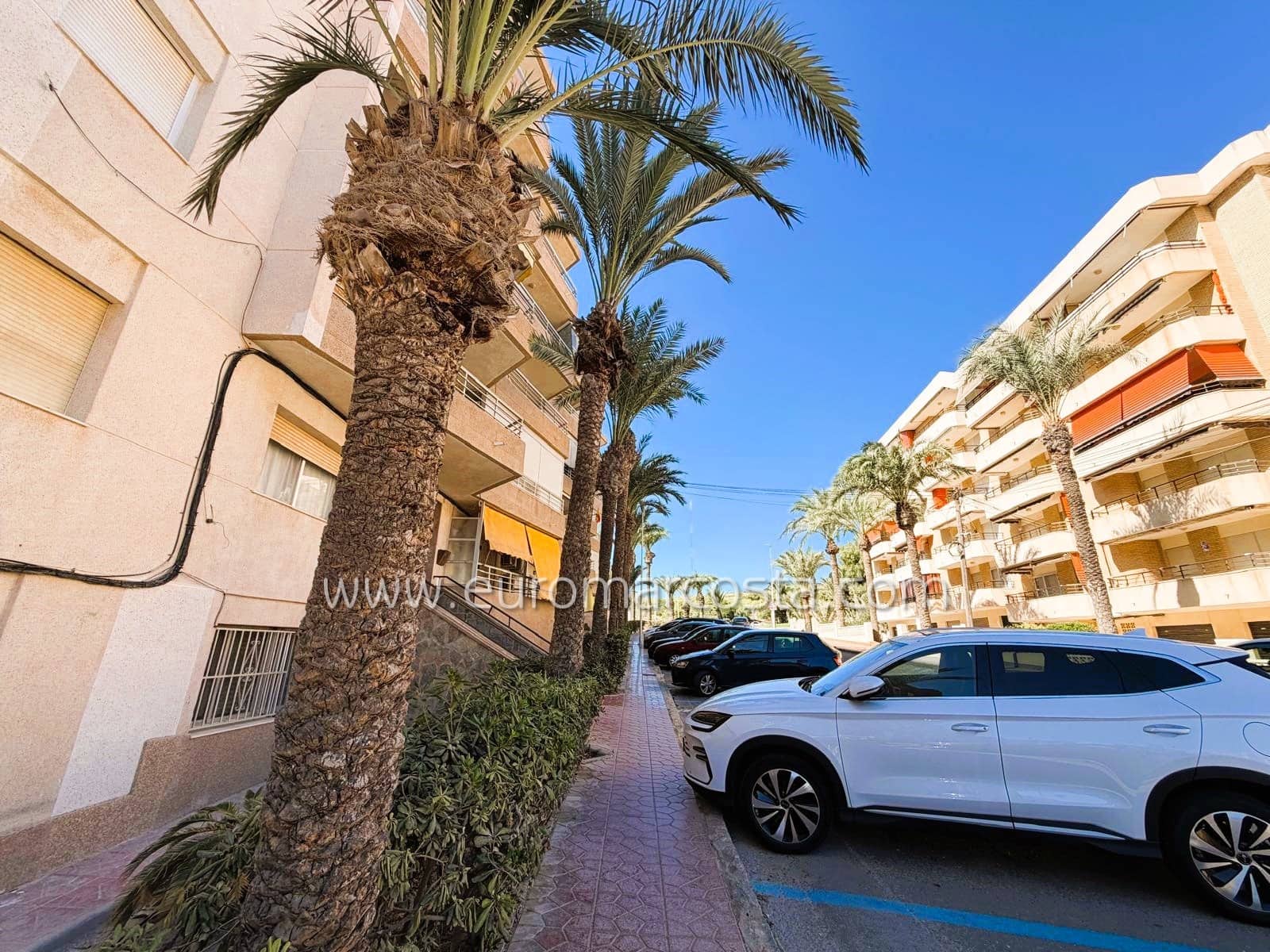 3 Zimmer Apartment zu verkaufen in Guardamar del Segura - 229.000 € (Ref: 10130599)