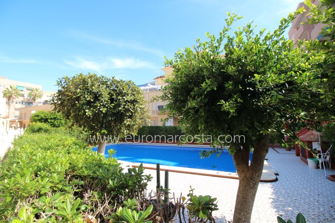 1 Zimmer Apartment zu verkaufen in La Mata mit Pool Garage - 134.900 € (Ref: 10165957)