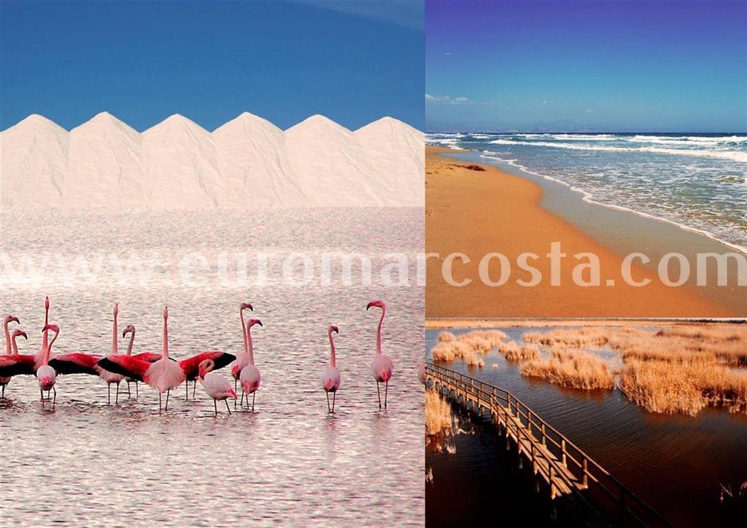 5 soveværelse Finca/Landehus til salg i La Marina - € 290.000 (Ref: 7071146)