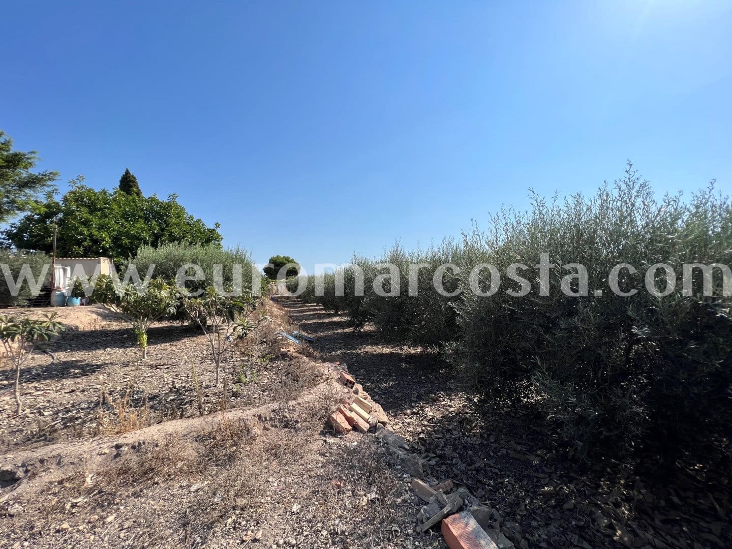 5 sypialnia Finka/Dom wiejski na sprzedaż w Elche / Elx - 290 000 € (Ref: 7071146)
