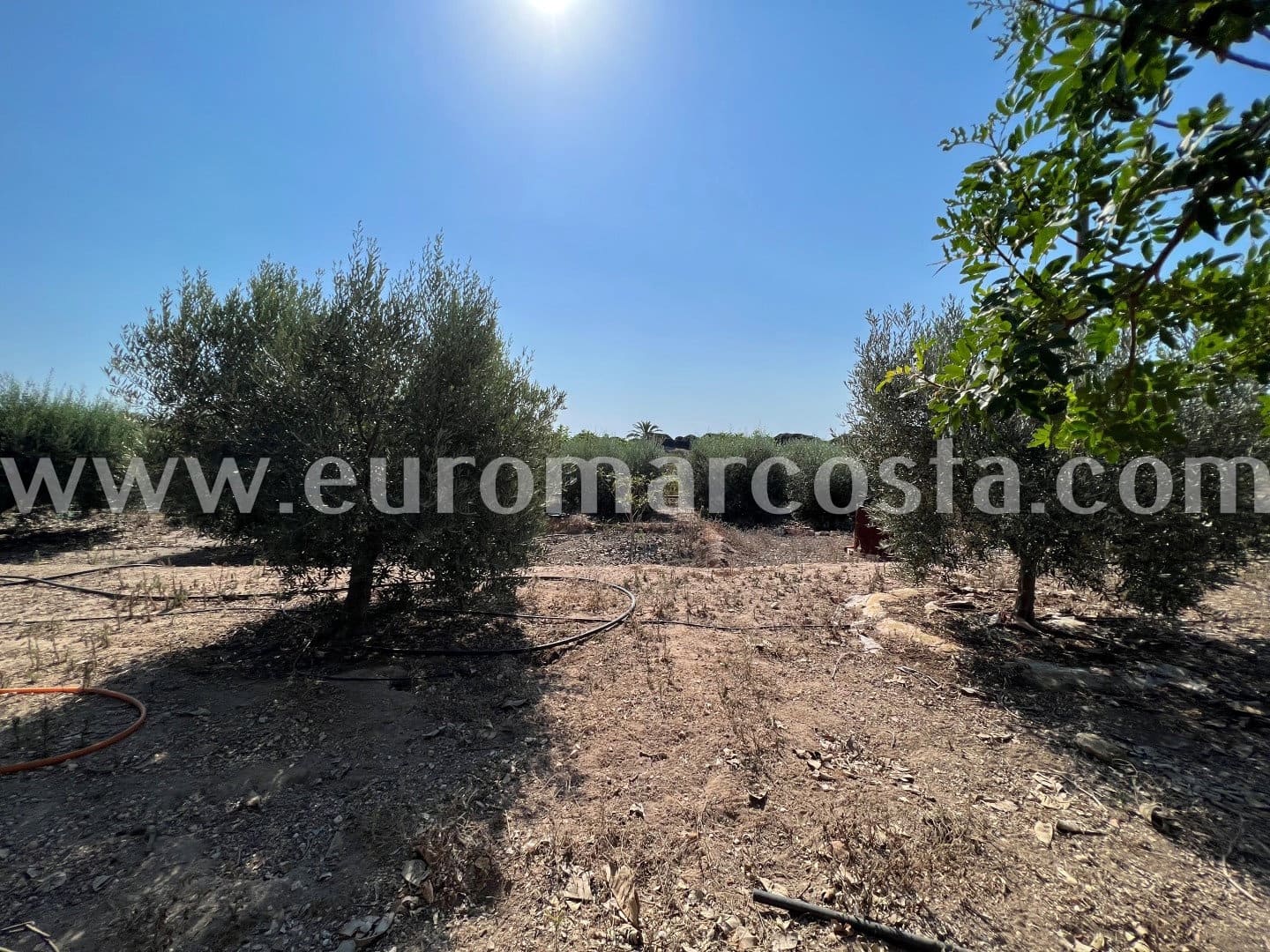 5 sypialnia Finka/Dom wiejski na sprzedaż w Elche / Elx - 290 000 € (Ref: 7071146)