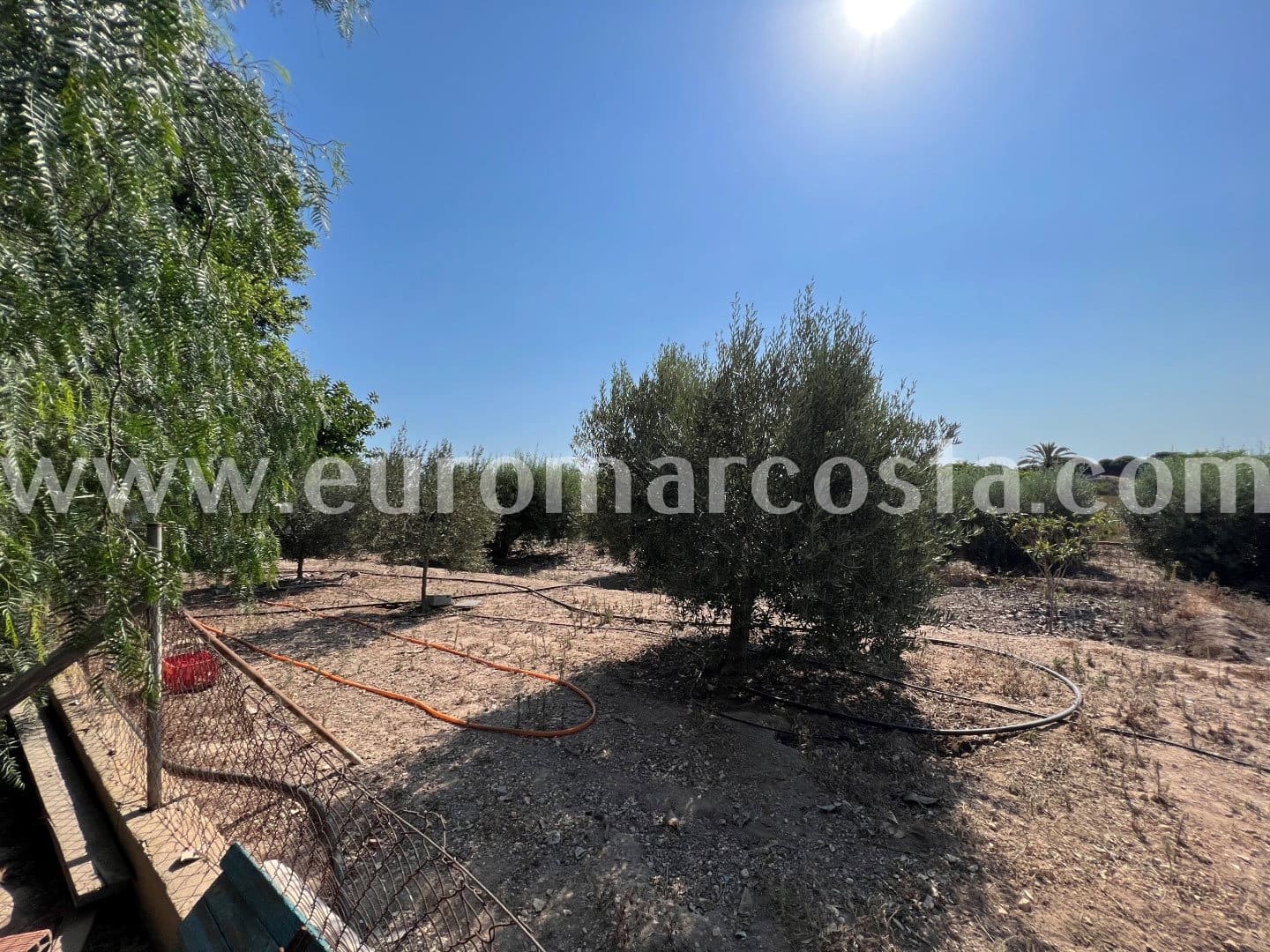 5 sypialnia Finka/Dom wiejski na sprzedaż w Elche / Elx - 290 000 € (Ref: 7071146)