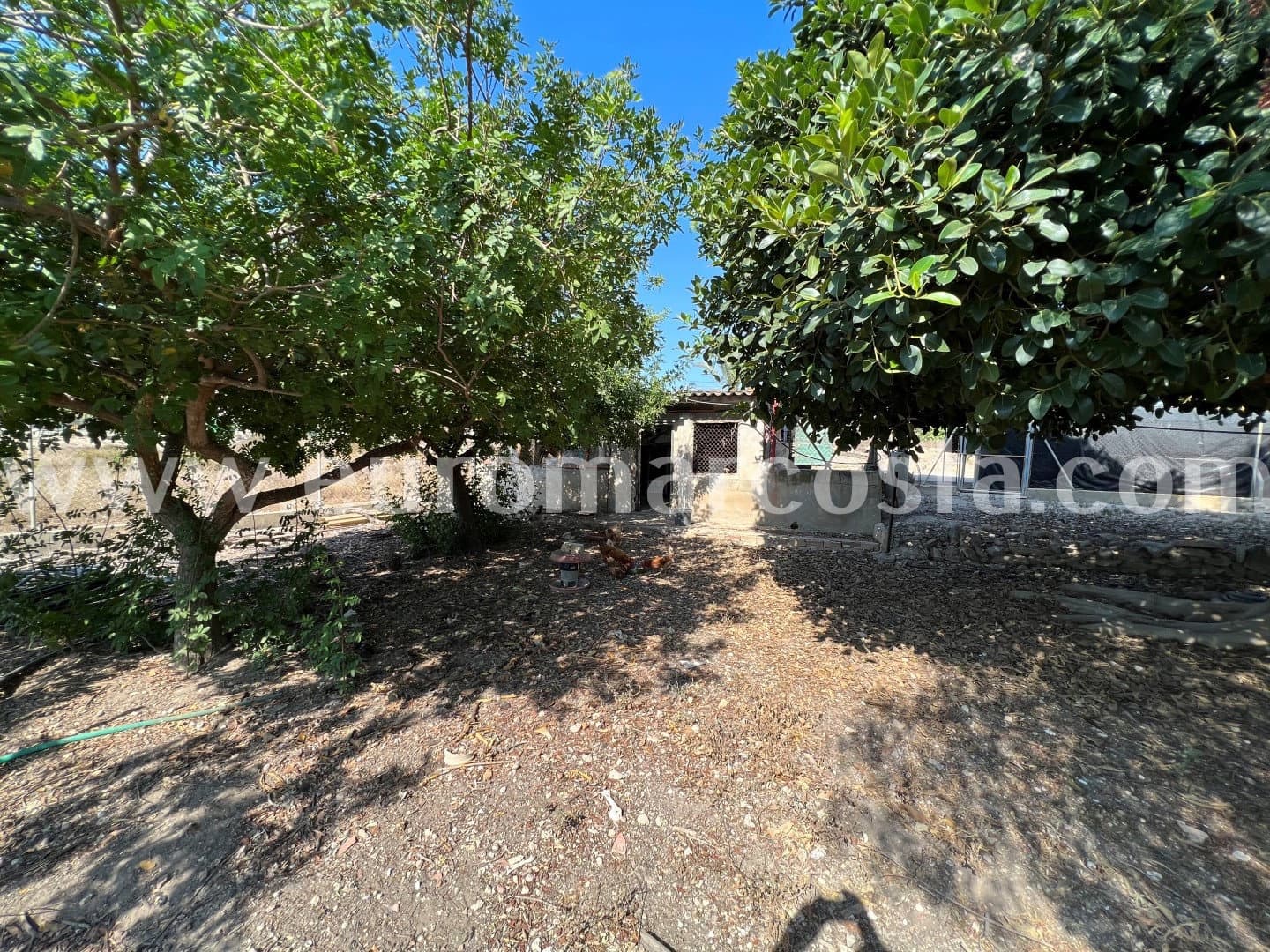 5 sypialnia Finka/Dom wiejski na sprzedaż w Elche / Elx - 290 000 € (Ref: 7071146)