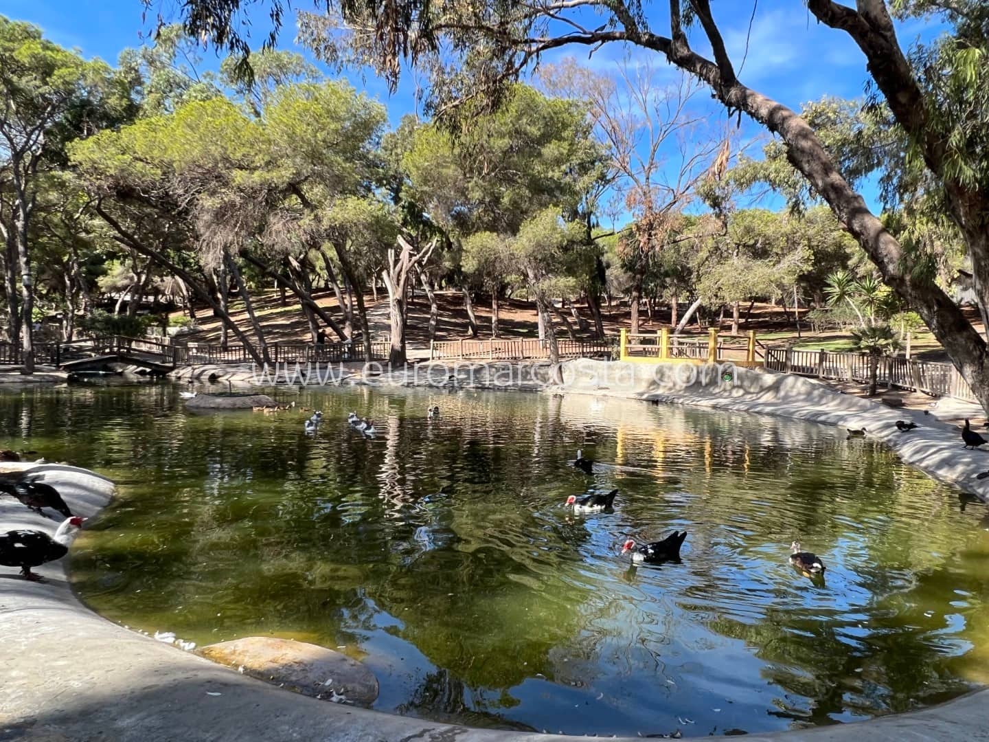 2 bedroom Apartment for sale in Guardamar del Segura - € 199,000 (Ref: 8754107)