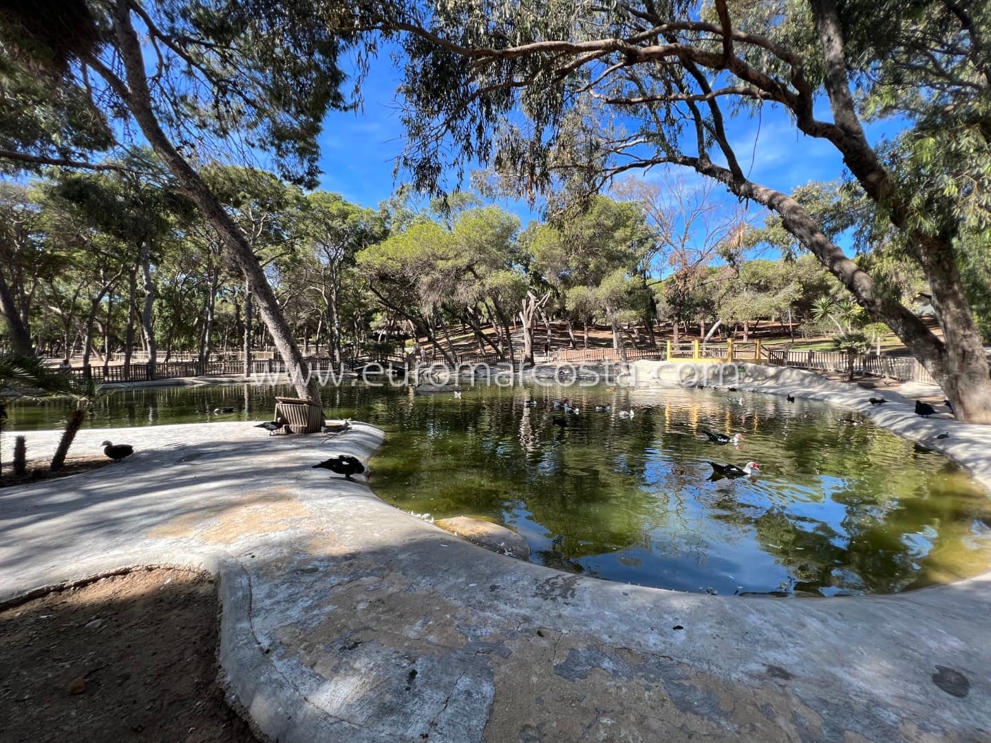 2 bedroom Apartment for sale in Guardamar del Segura - € 199,000 (Ref: 8754107)