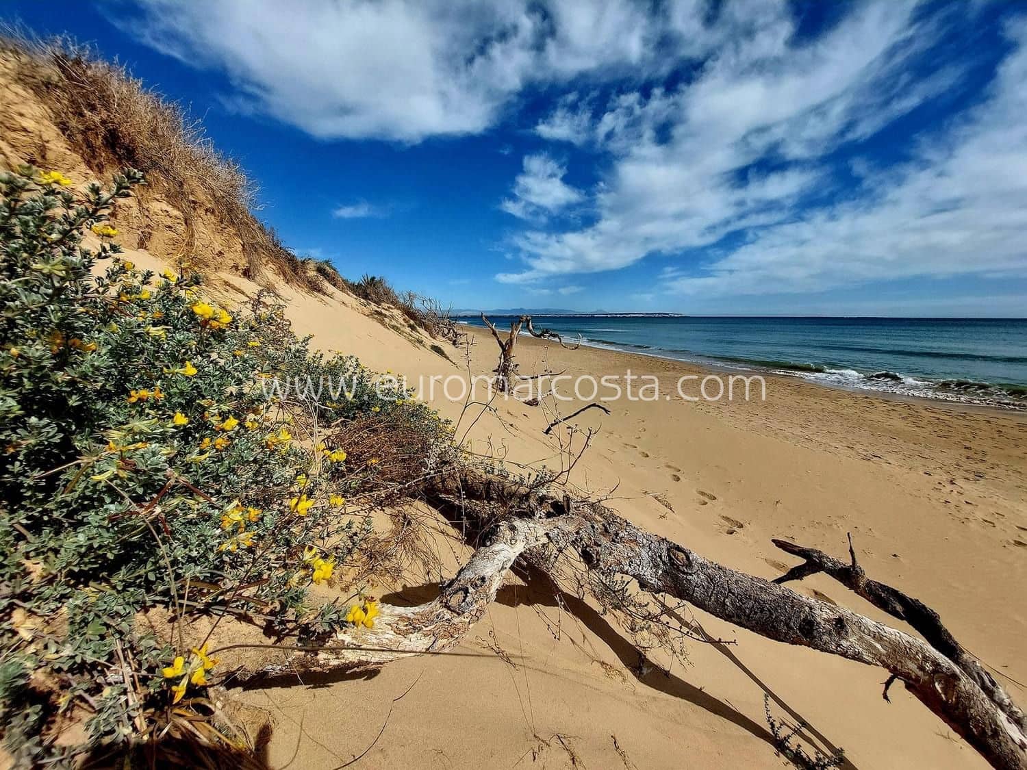 2 chambre Appartement à vendre à Guardamar del Segura avec piscine garage - 319 000 € (Ref: 8824297)