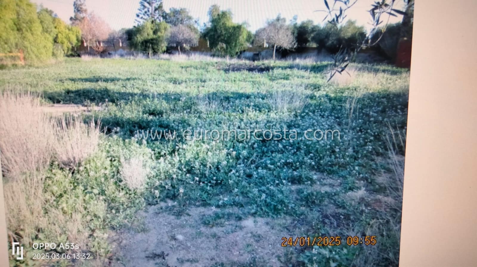 4 soveværelse Finca/Landehus til salg i Los Montesinos med swimmingpool garage - € 670.000 (Ref: 8916751)